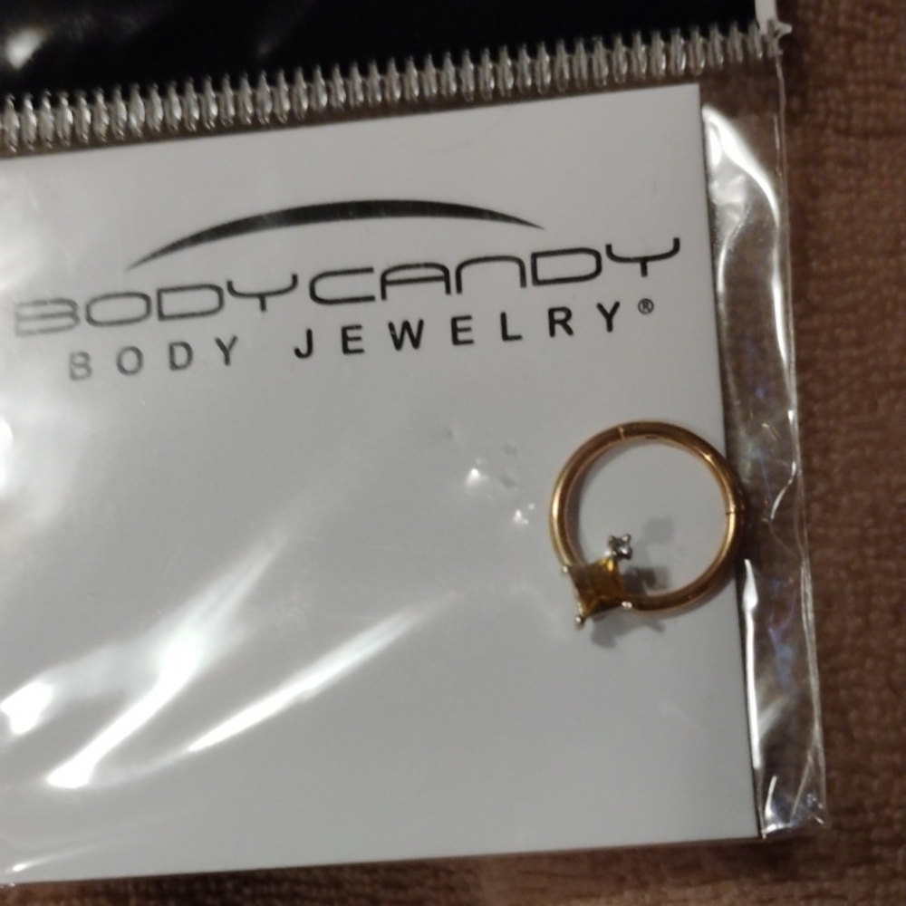Body Candy Gold Earrings